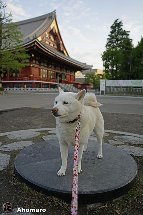 写真00