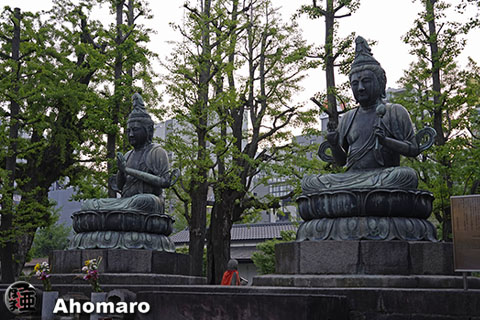写真00