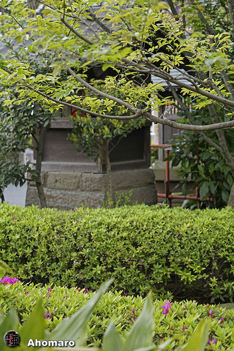 写真00