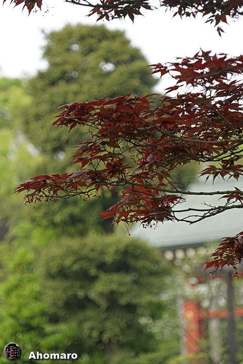 写真00