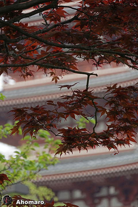写真00