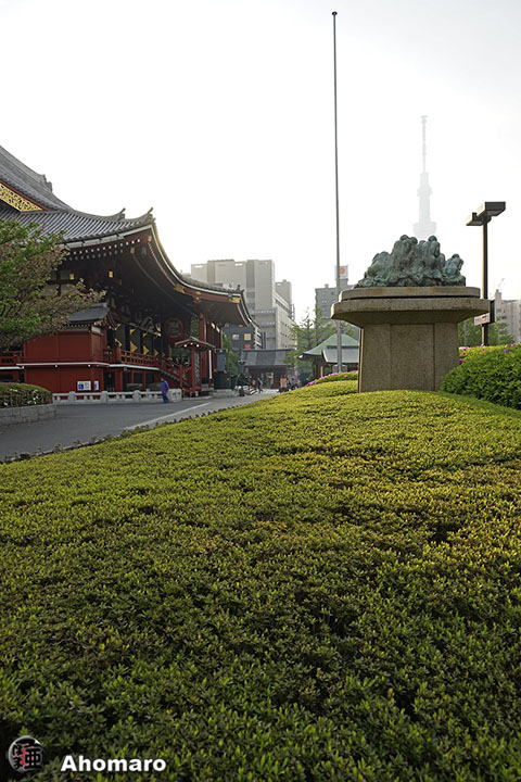 写真00