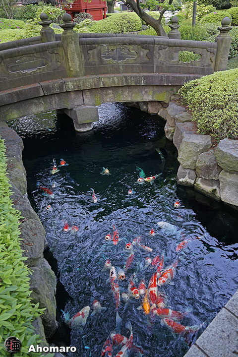 写真00