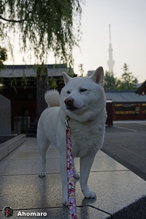 写真00