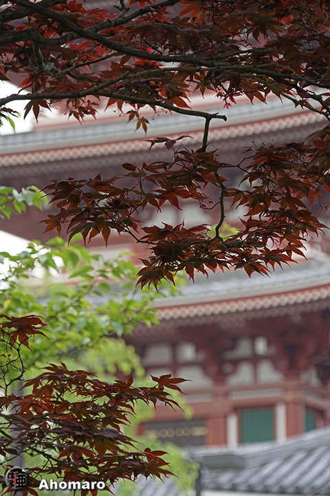 写真00