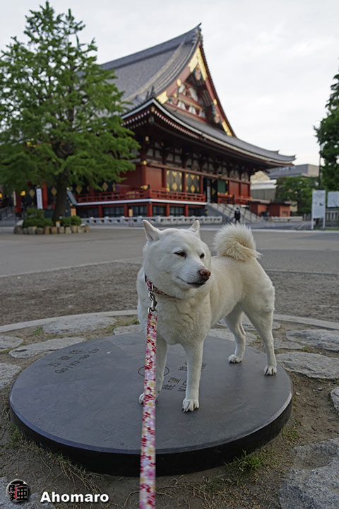 写真00