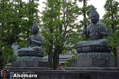 写真00