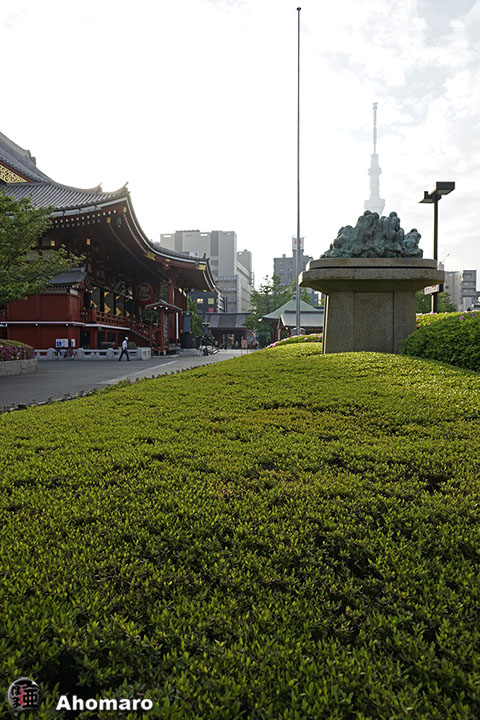写真00
