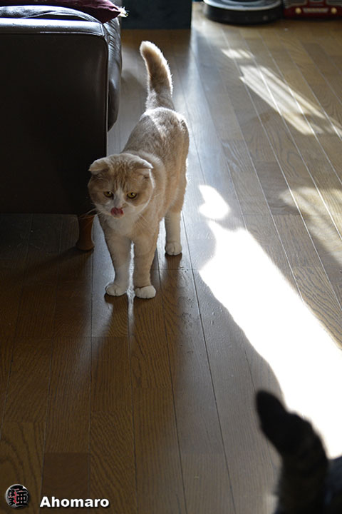 写真00
