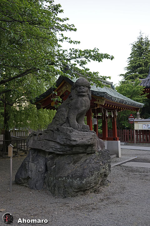 写真00
