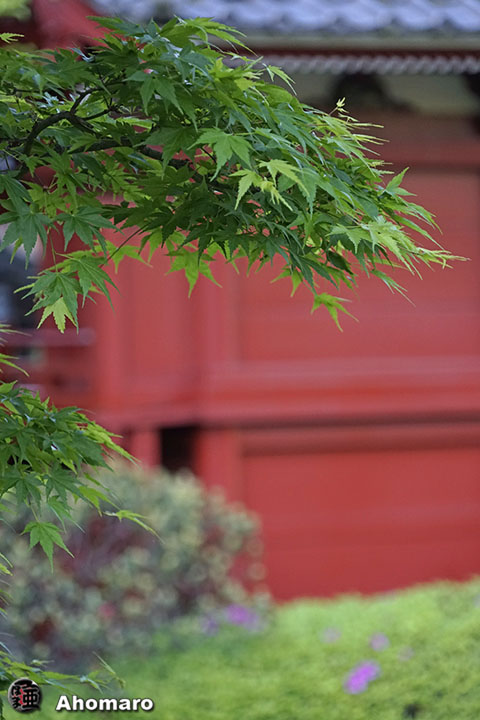 写真00