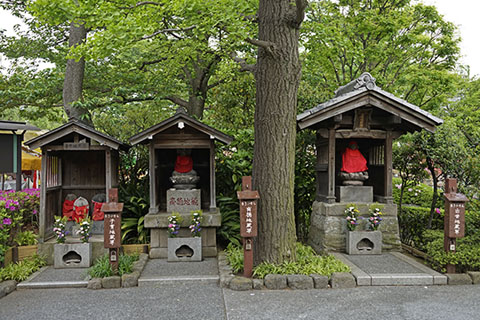 写真00