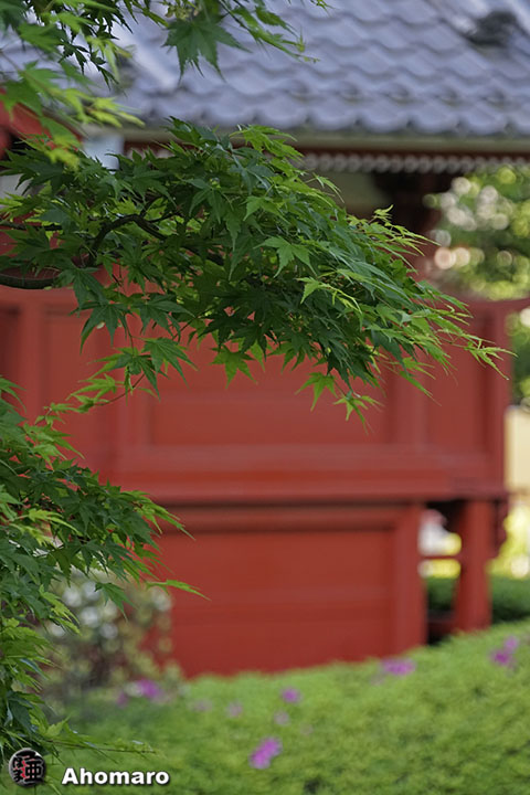 写真00