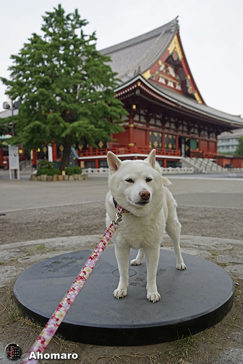 写真00