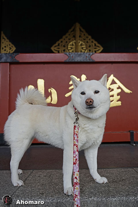 写真00