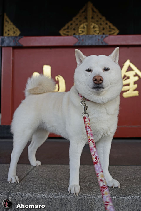 写真00