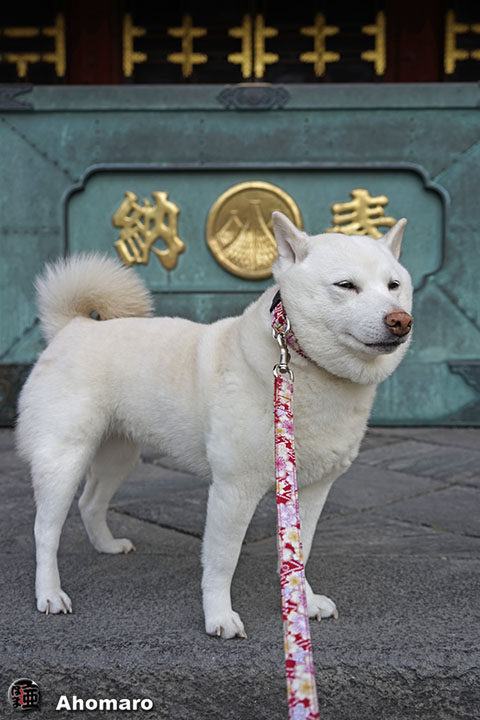 写真00