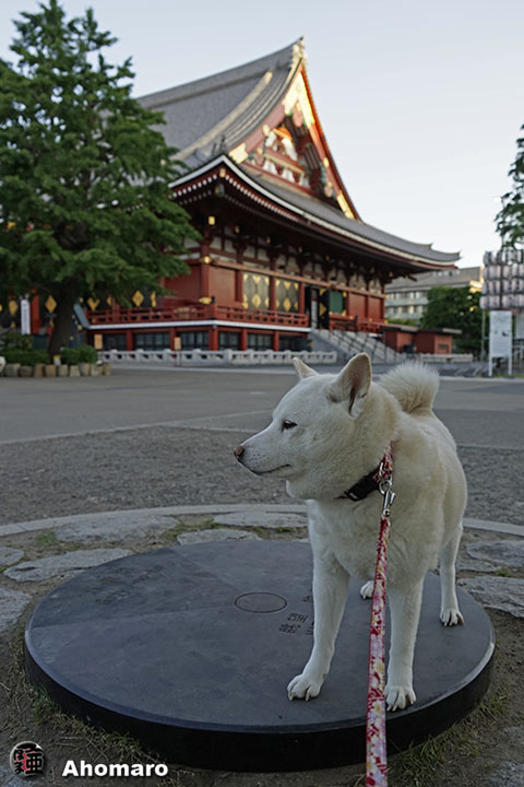 写真00