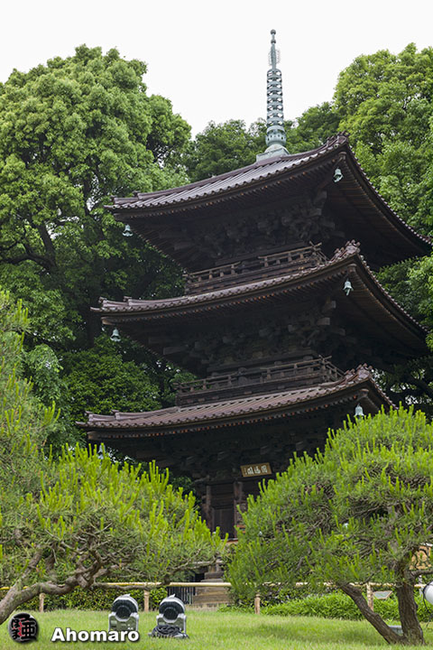 写真00