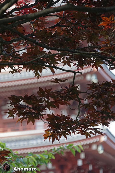 写真00
