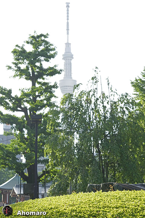 写真00