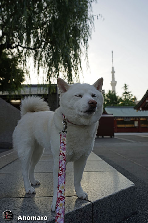写真00