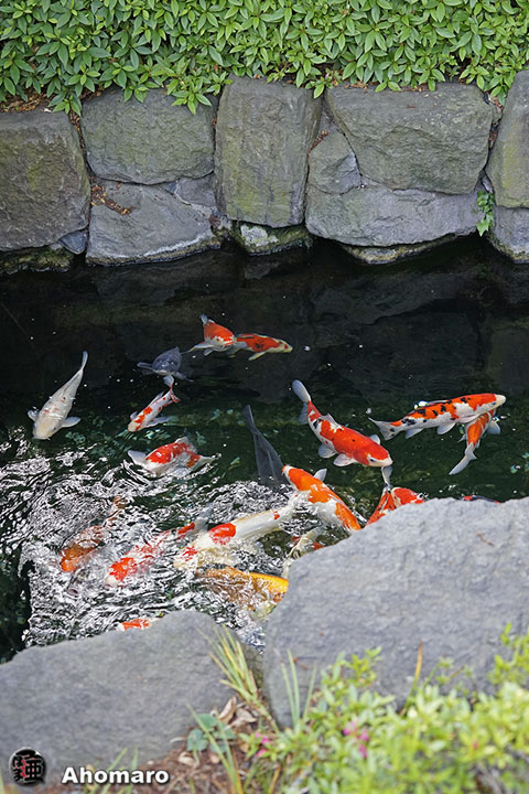 写真00