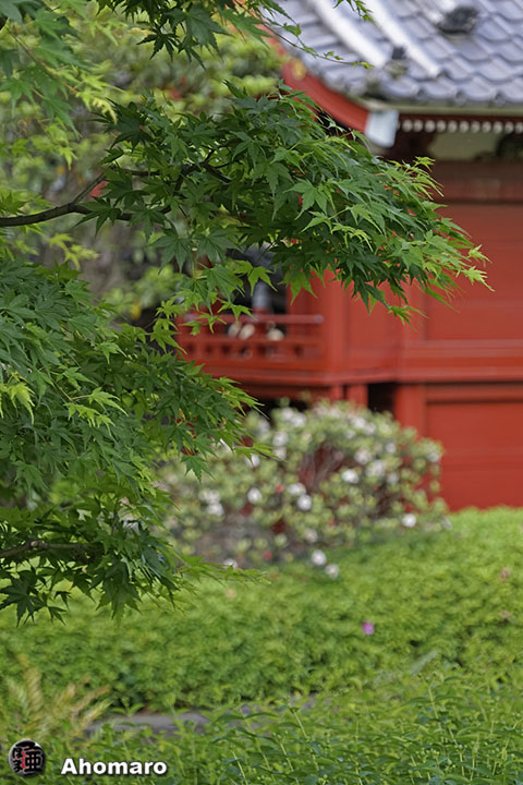 写真00