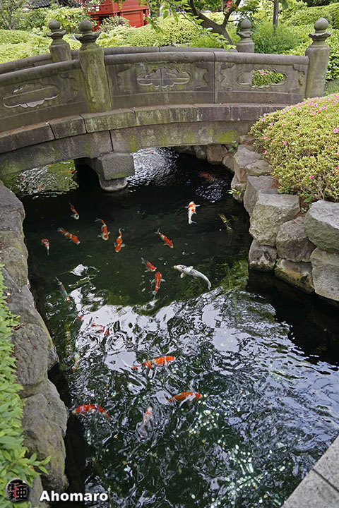 写真00