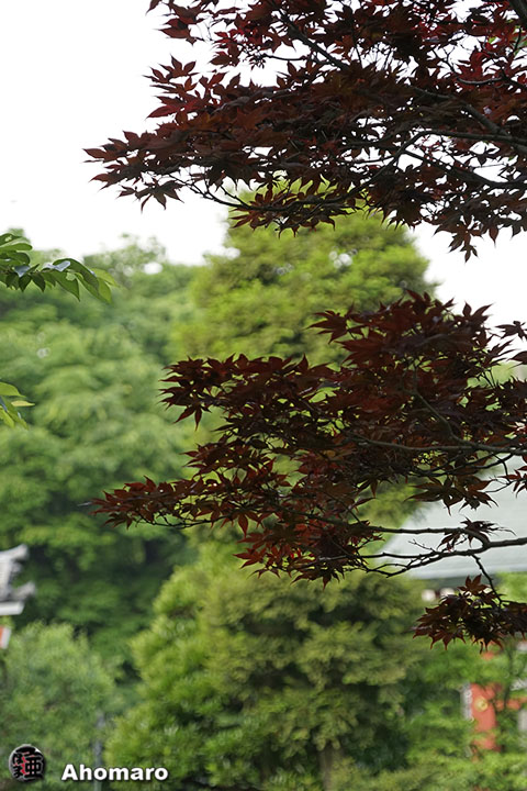 写真00