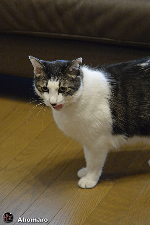 写真00