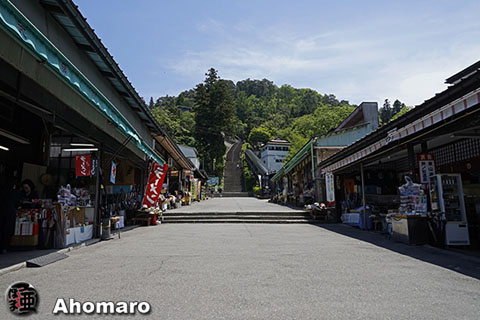 写真00