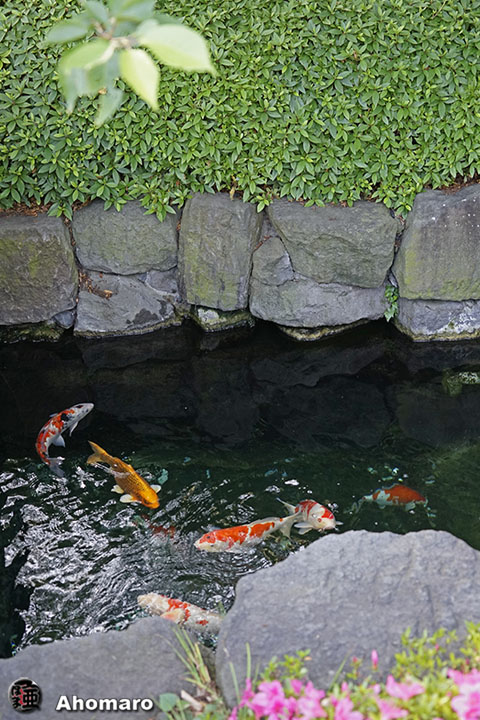 写真00