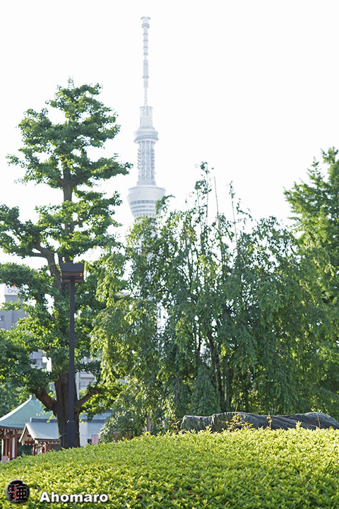写真00