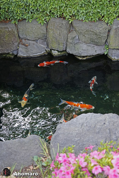 写真00