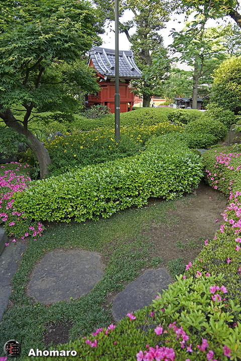 写真00