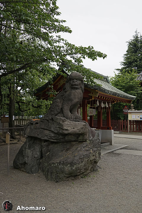 写真00
