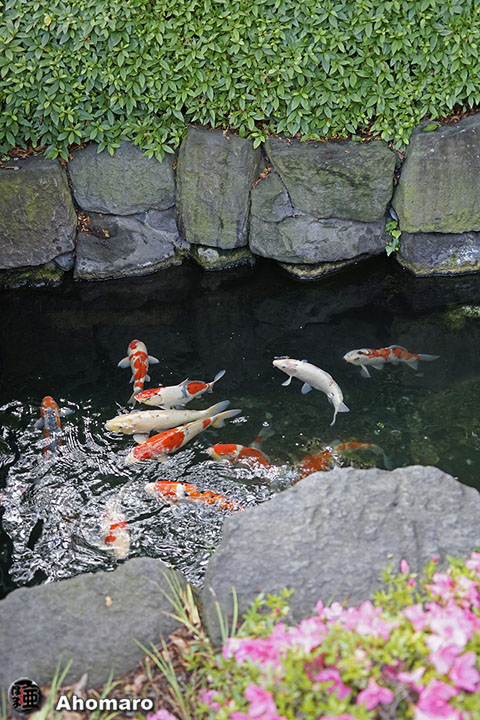 写真00