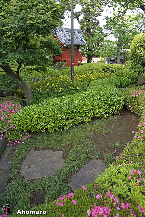 写真00