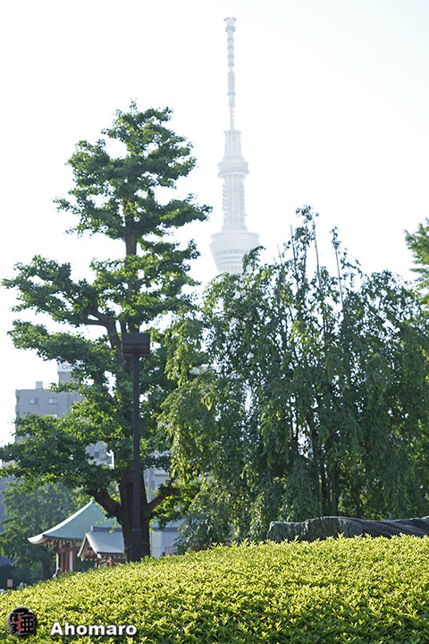 写真00