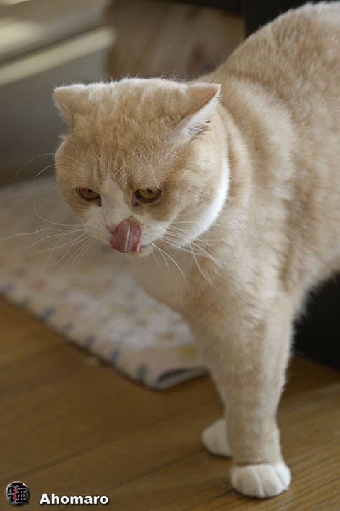 写真00