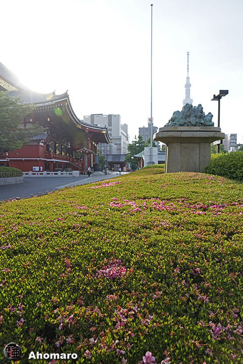 写真00