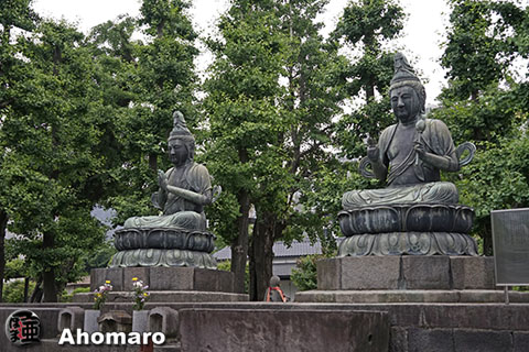 写真00