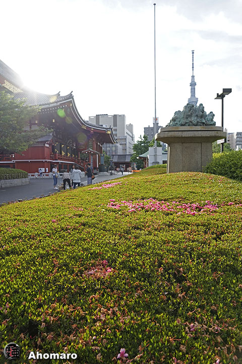 写真00