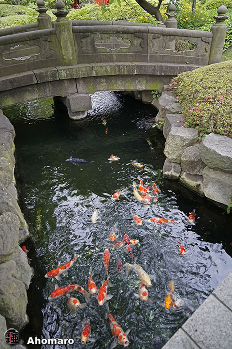 写真00