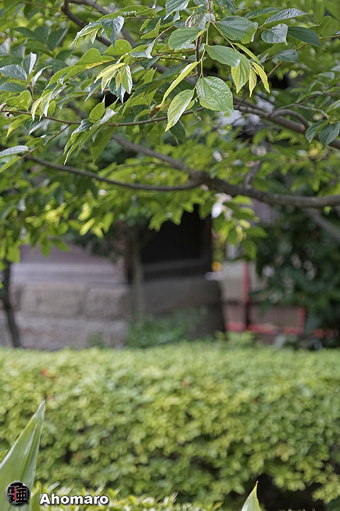 写真00