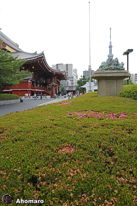 写真00