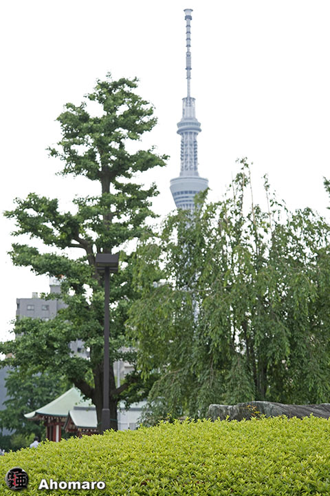 写真00