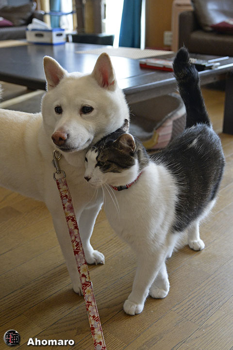 写真00