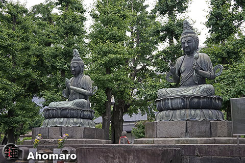 写真00
